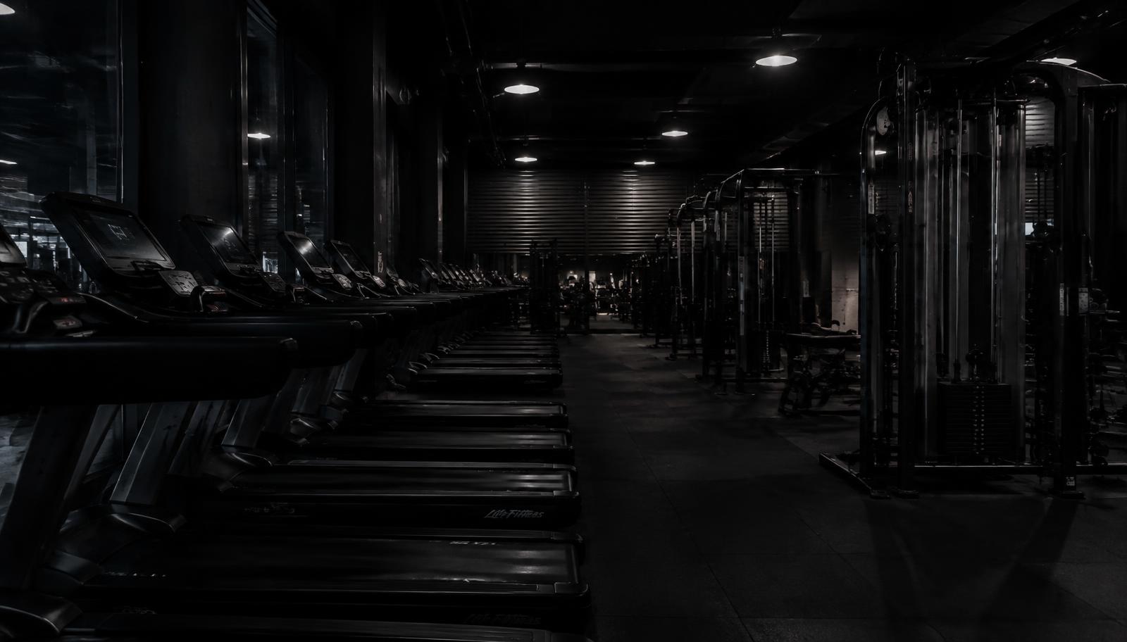 Row of commercial treadmills and cable machines in a facility